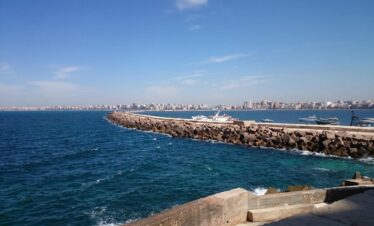 Alexandria Highlights Guided Day Tour